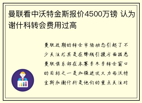 曼联看中沃特金斯报价4500万镑 认为谢什科转会费用过高