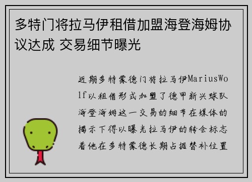 多特门将拉马伊租借加盟海登海姆协议达成 交易细节曝光